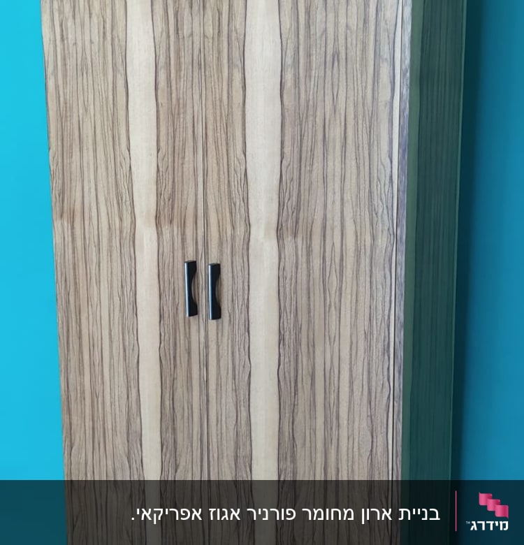 ארון עץ עם דלתות וידיות שחורות